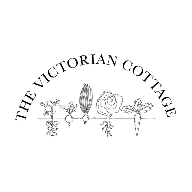 store_logo